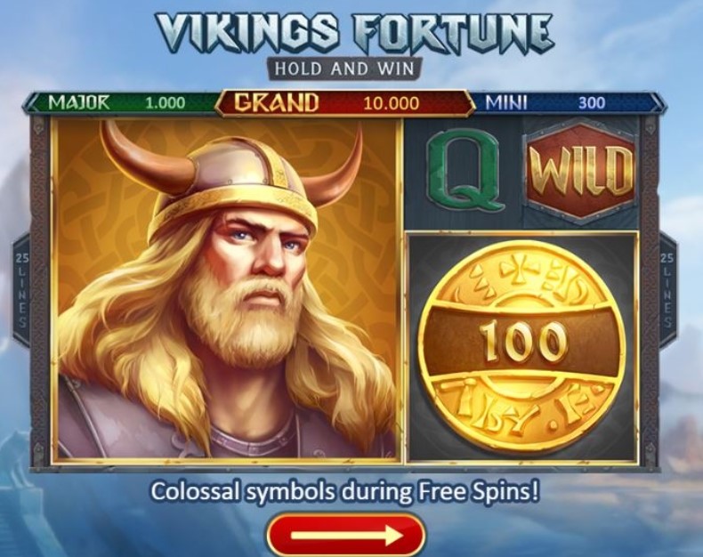 vikings fortune