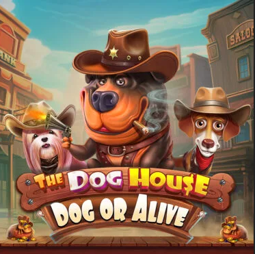 The Dog House - Dog or Alive