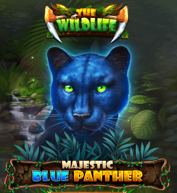 Majestic blue panther